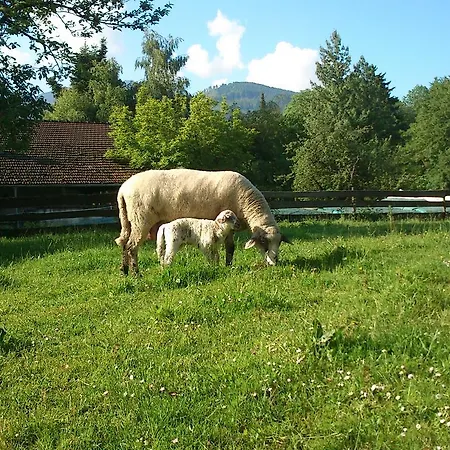 Schusterhof * Bernau am Chiemsee